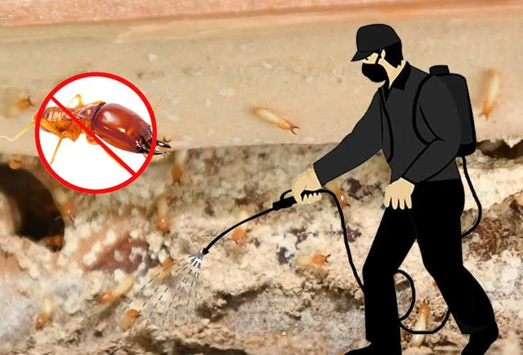 مكافحة النمل الأحمر